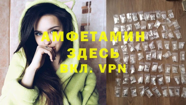 apvp Алзамай