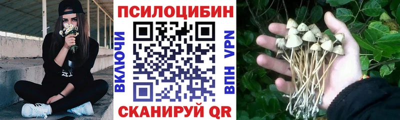 hydra как войти  Камышлов  Галлюциногенные грибы GOLDEN TEACHER  закладка 